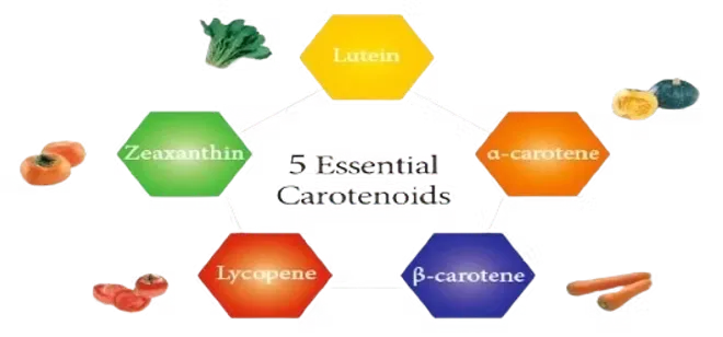5 essential Carotenoids