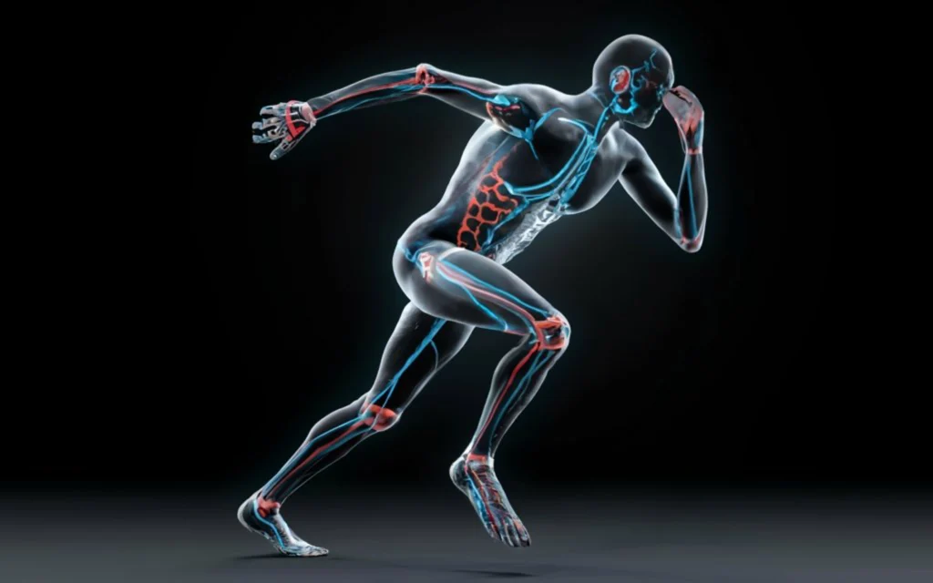 Collagen for Joint Mobility