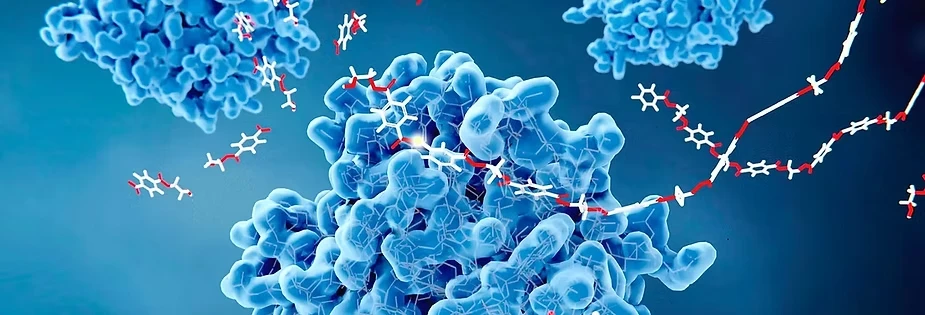 Enzymes, the proteins with specific biochemical roles