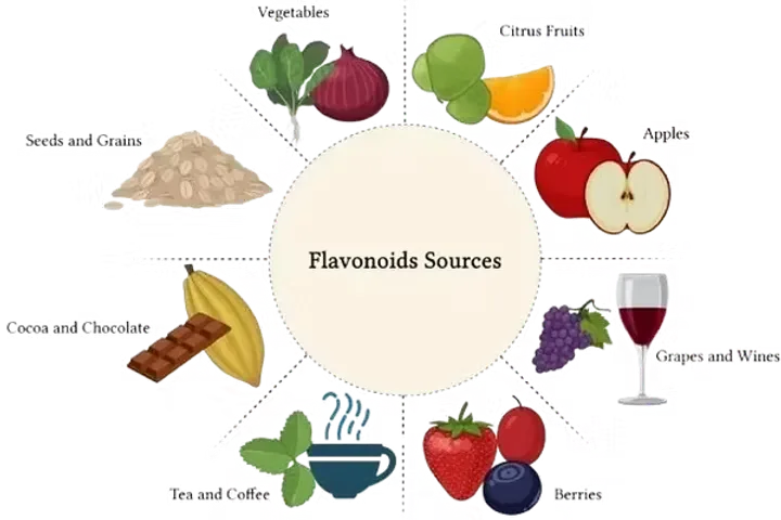 Flavonoids sources