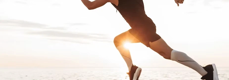 Protein in energy production