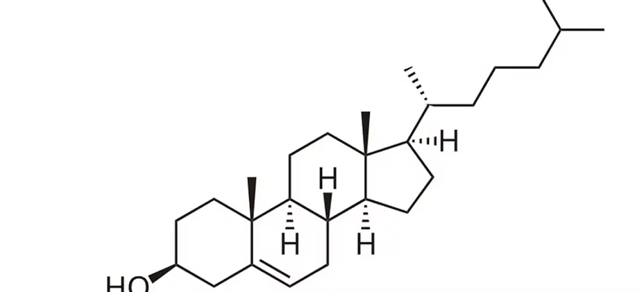 cell integrity and functions