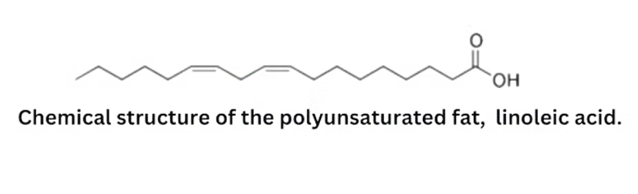 chemical structure of the Polysaturated Fat