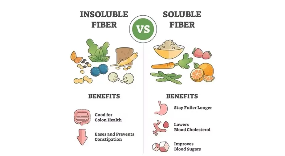 insoluble fiber vs solible fiber