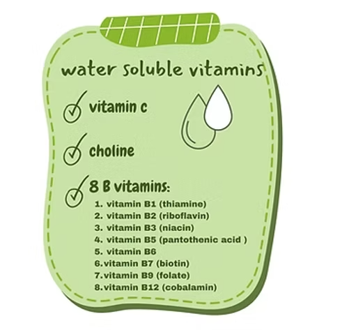 water soluble vitamins