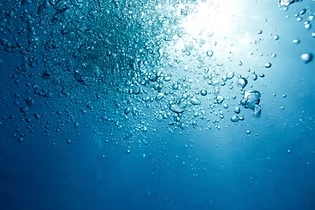 Cooking with Healthy Fats