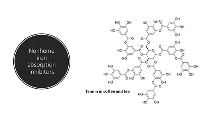 Nonheme iron absorption inhibitors