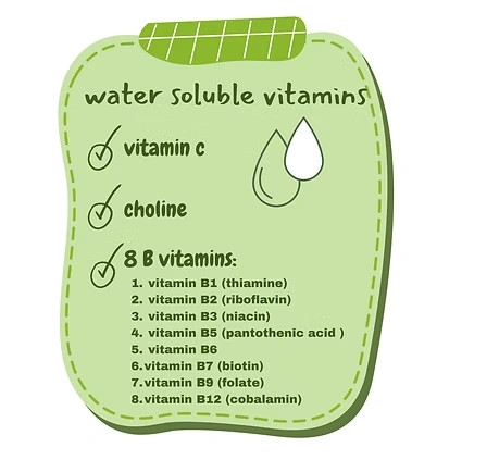 Water-Soluble Vitamins 2