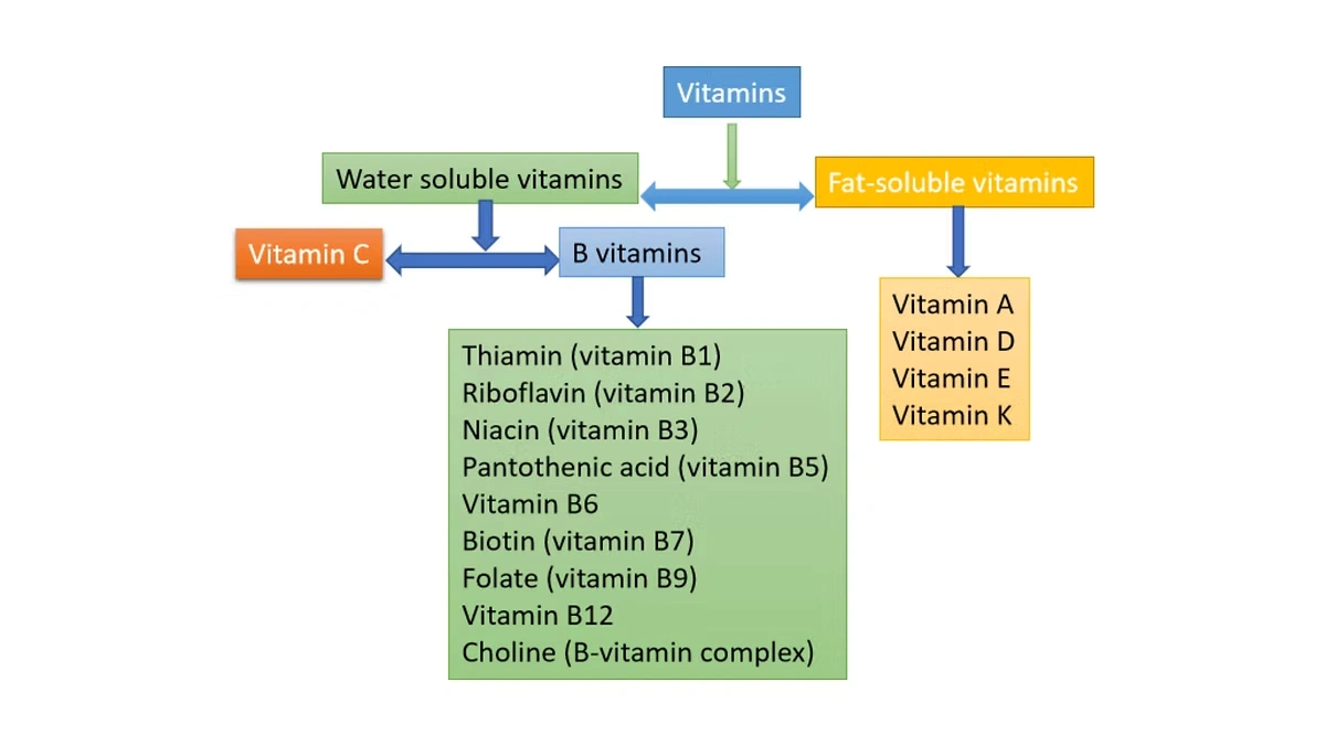 What are vitamins