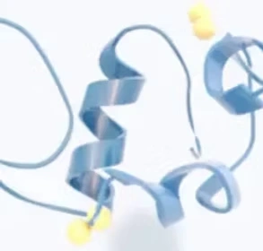 insulin disulphide bridges