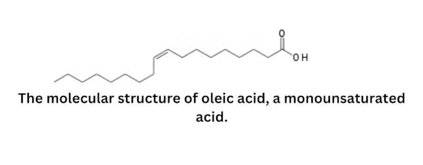 molecular structure of oleic acid