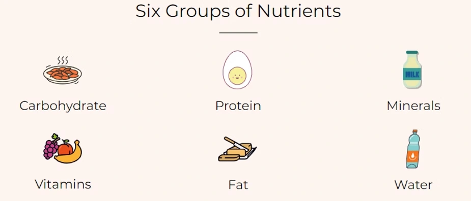 six groups of nutrients