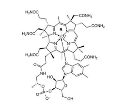 vitamin b12 structure