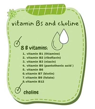 vitamin bs and choline