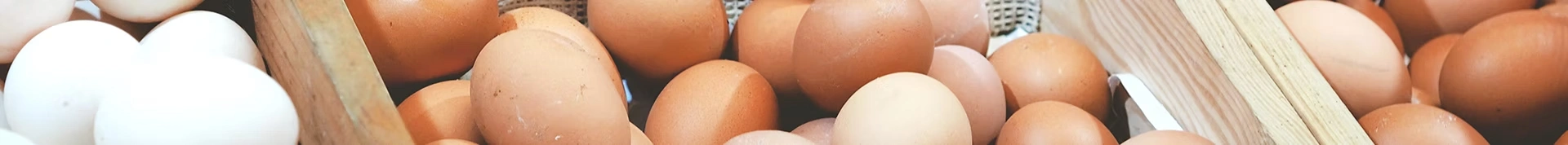 vitamin in eggs