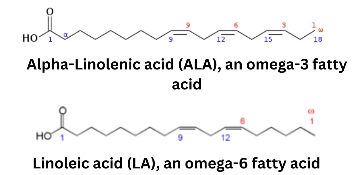 Alpha-linolenic acid