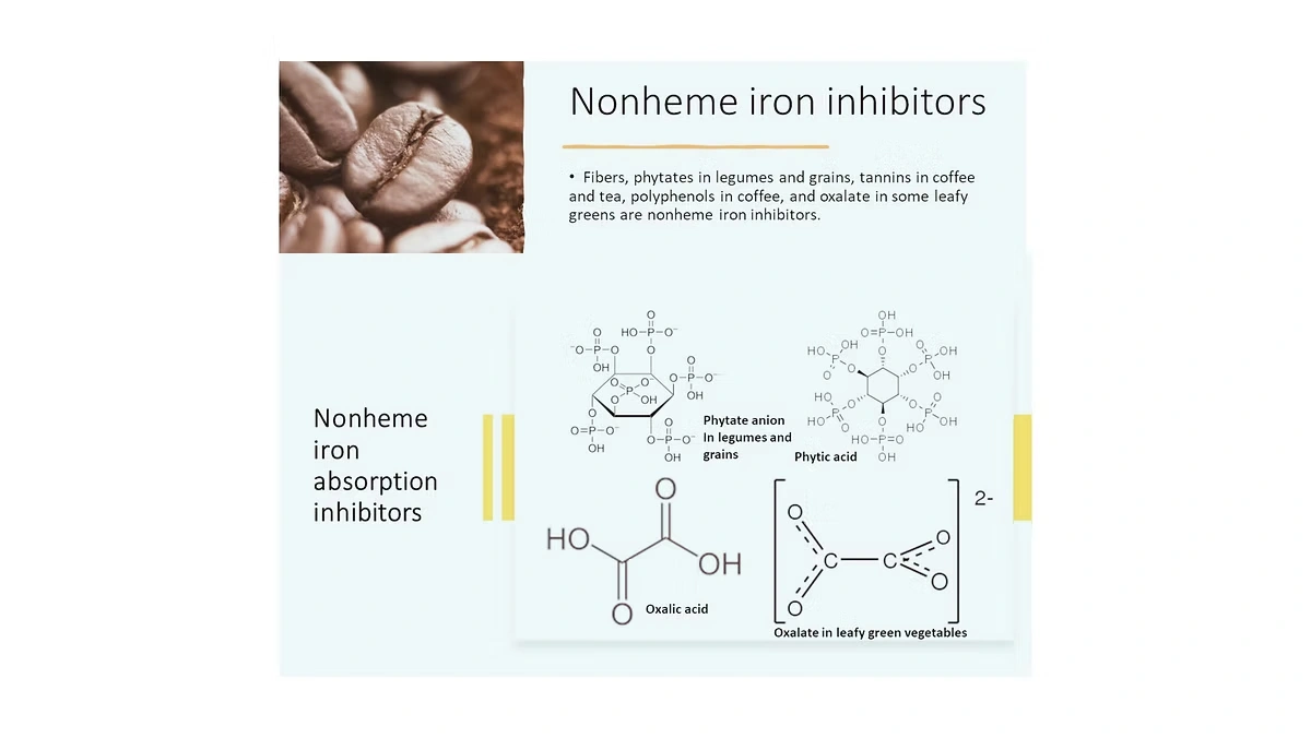 nonheme iron absorption inhibitors