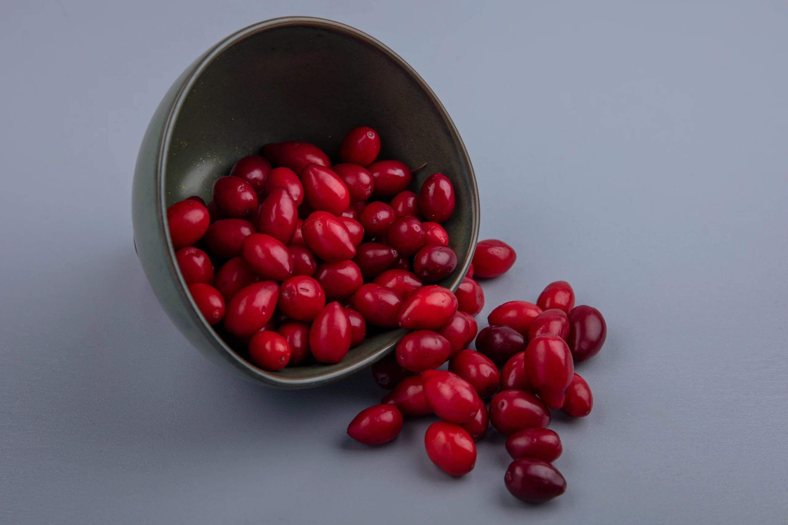 Beans, Dry, Cranberry (0% moisture)