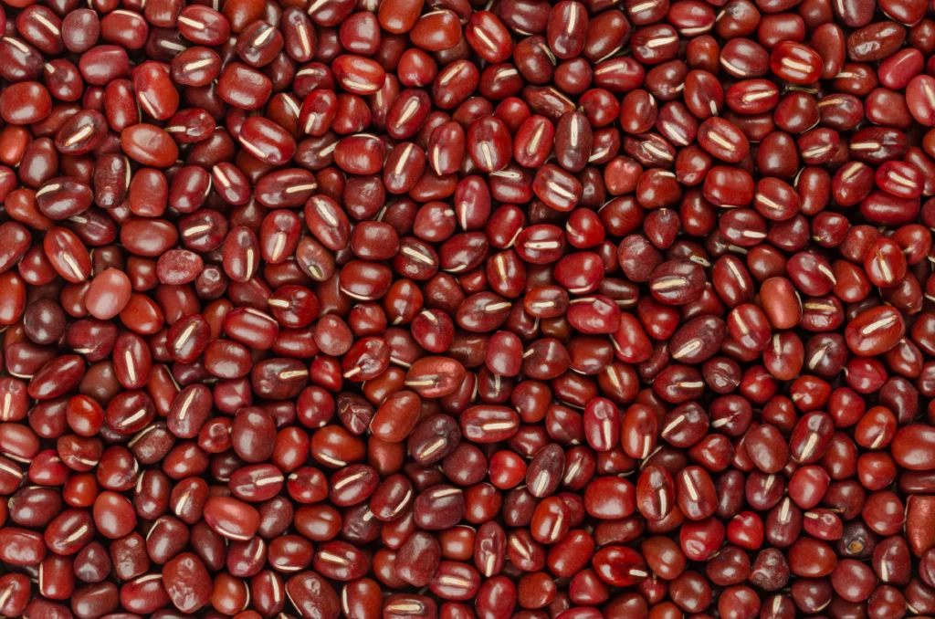 Beans, Dry, Small Red (0% moisture)