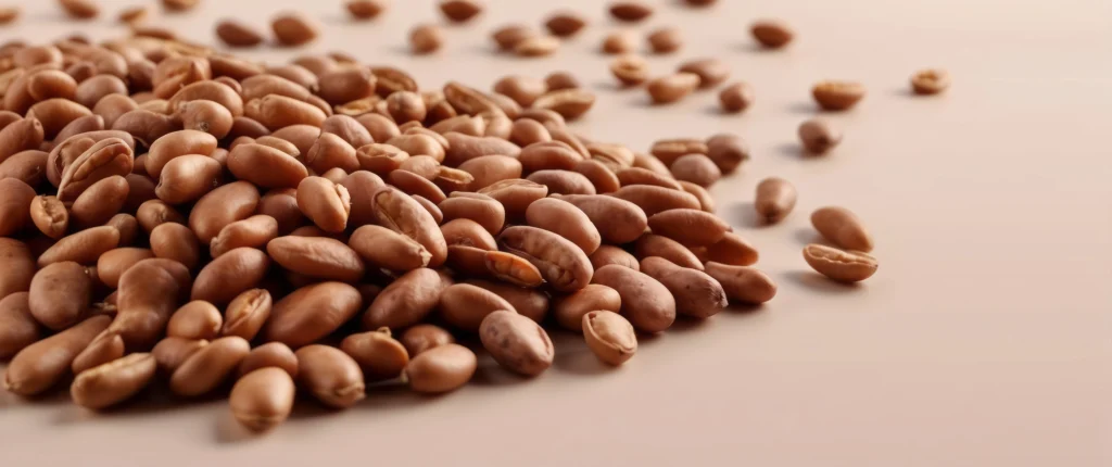 Consideration of Beans, Dry, Tan (0% moisture)