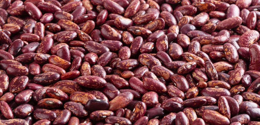 Considerations of Beans, Dry, Medium Red (0% moisture)