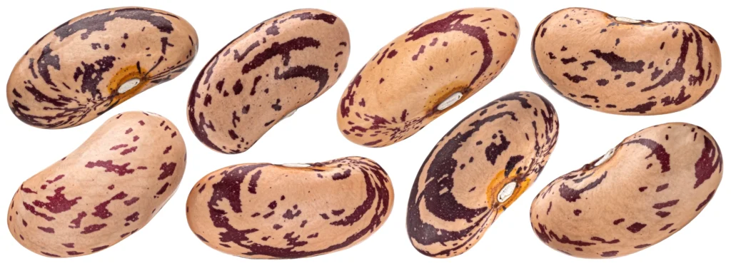 Considerations of Beans, Dry, Pinto (0% moisture)