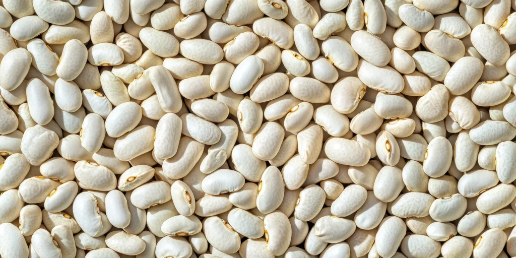 Considerations of Beans, Dry, Small White (0% moisture)