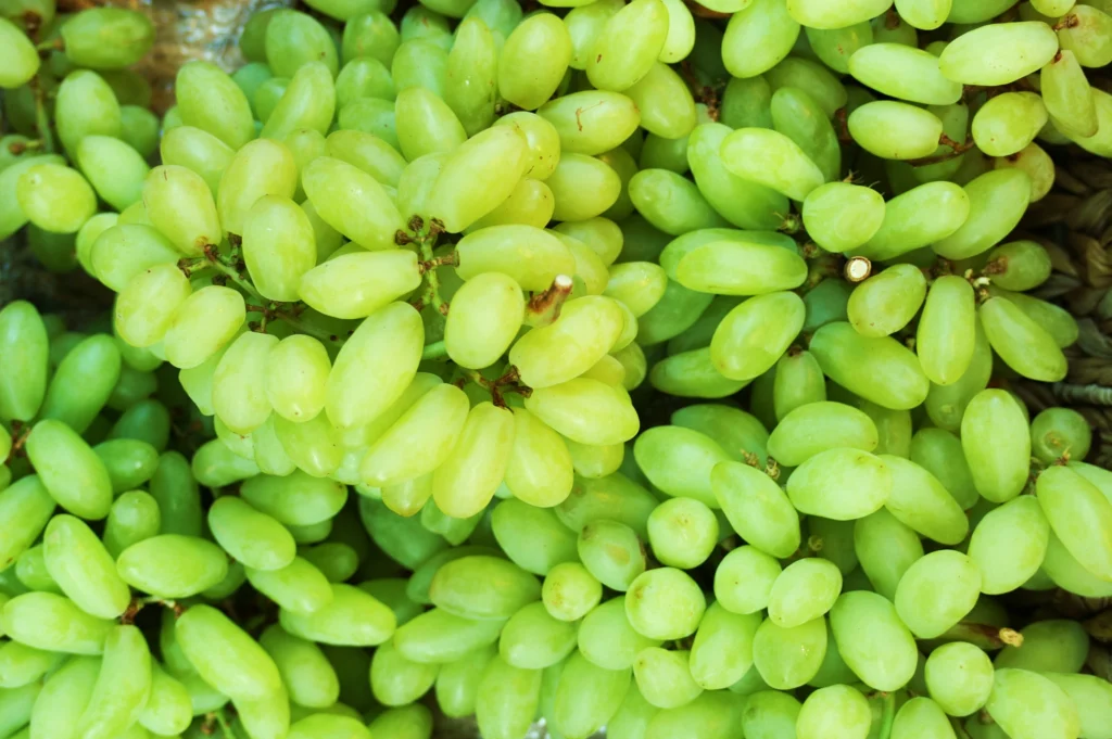 Grapes, green, seedless, raw
