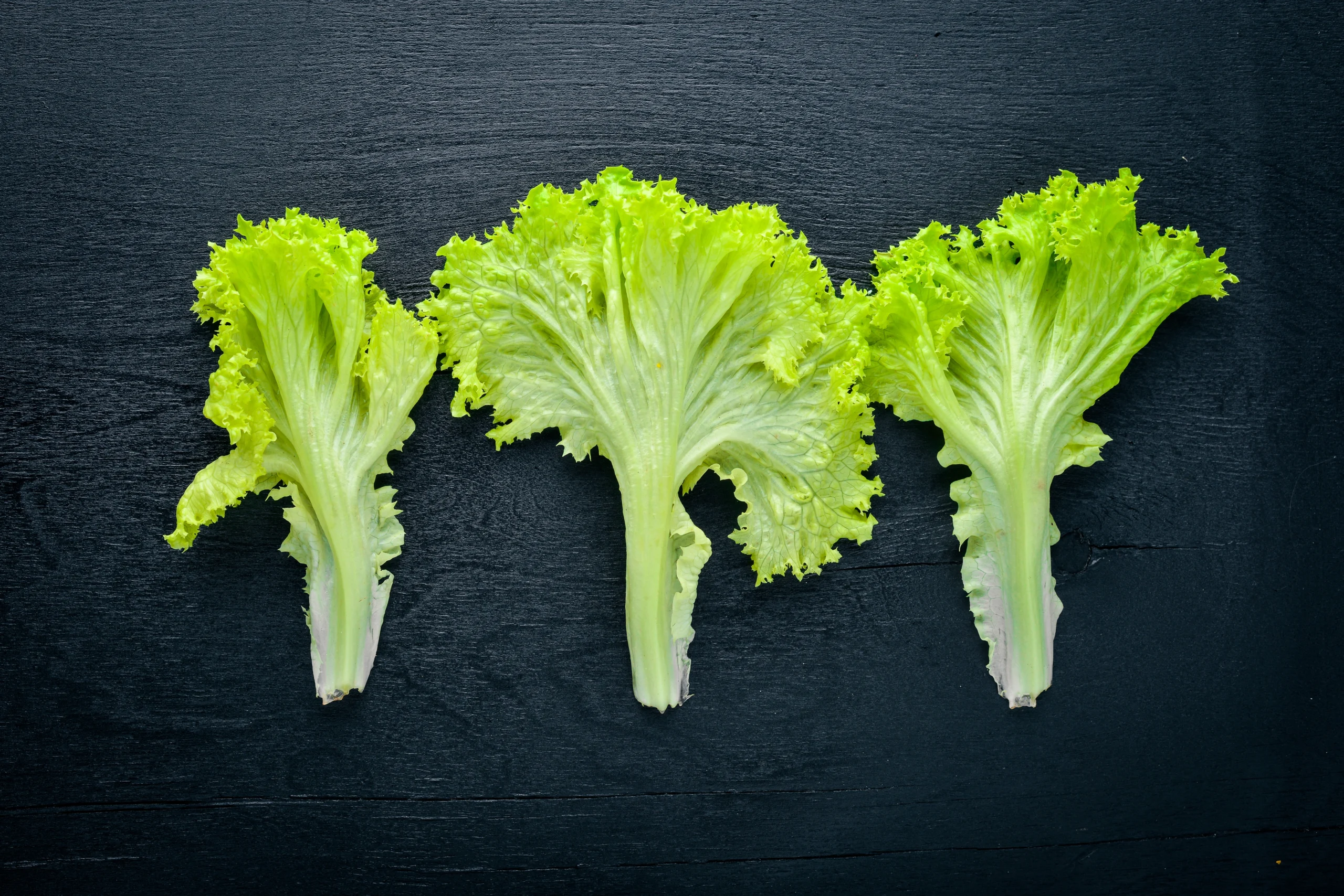 Lettuce, cos or romaine, raw