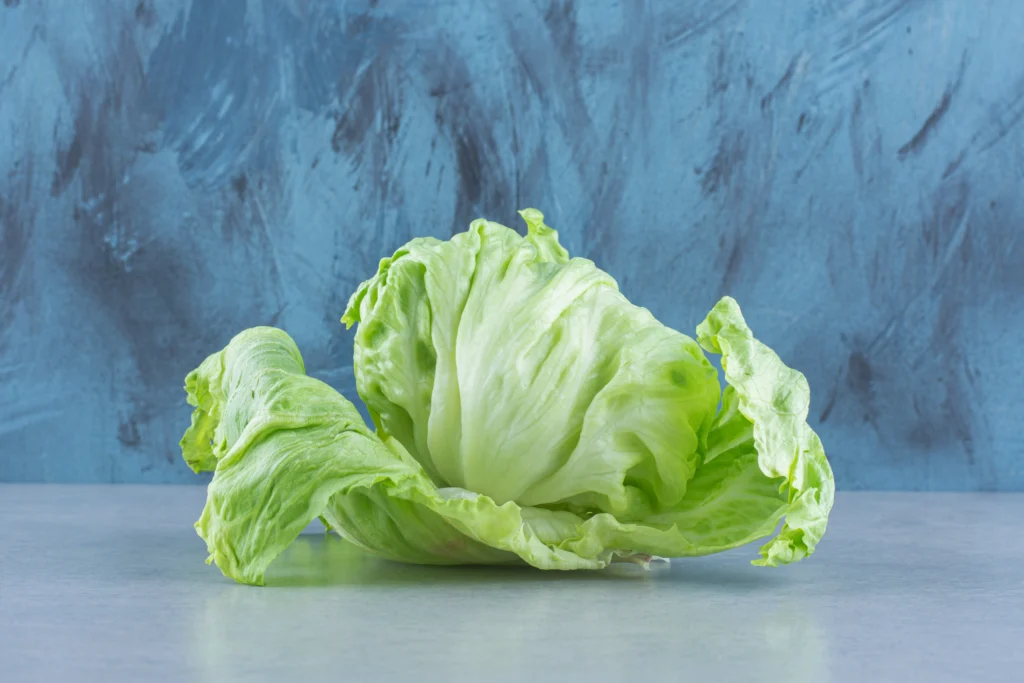 Lettuce, iceberg, raw