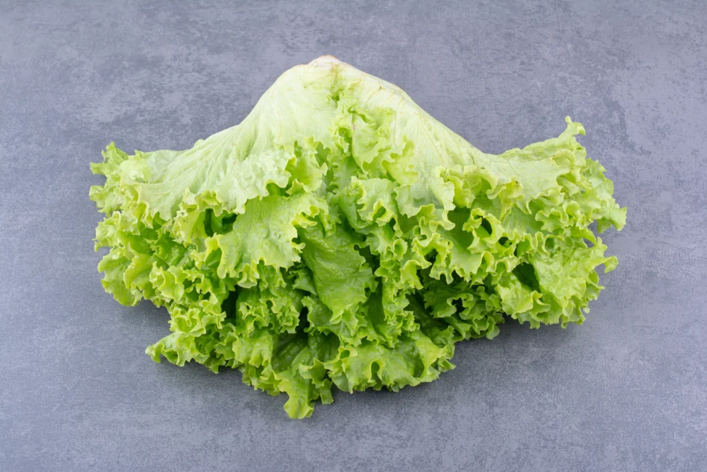 Lettuce, leaf, green, raw