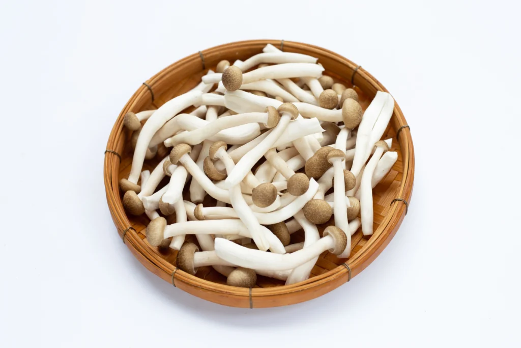 Mushroom, enoki