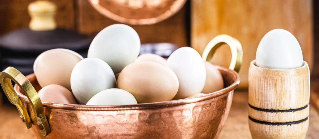 Phytonutrient Eggs, Grade A, Large, egg white