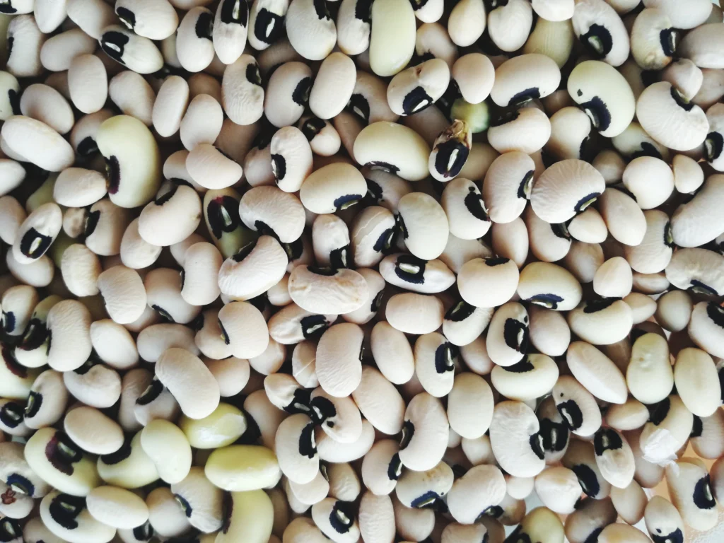 Phytonutrients Blackeye pea, dry