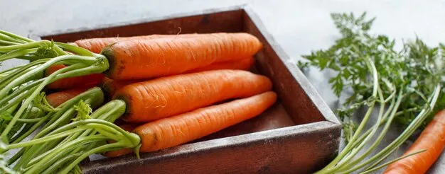 Phytonutrients Carrots, mature, raw