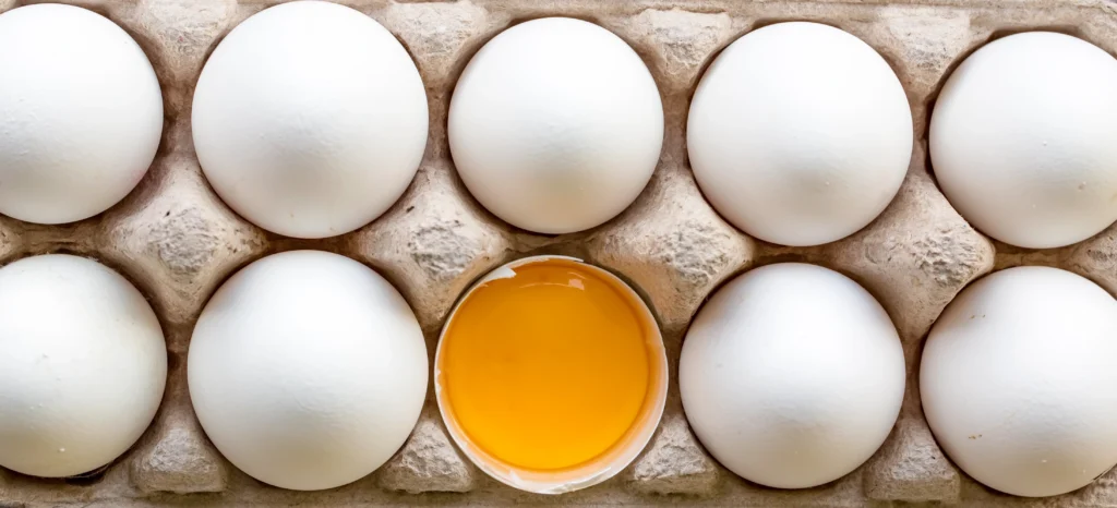 Phytonutrients Egg, white, raw, frozen, pasteurized