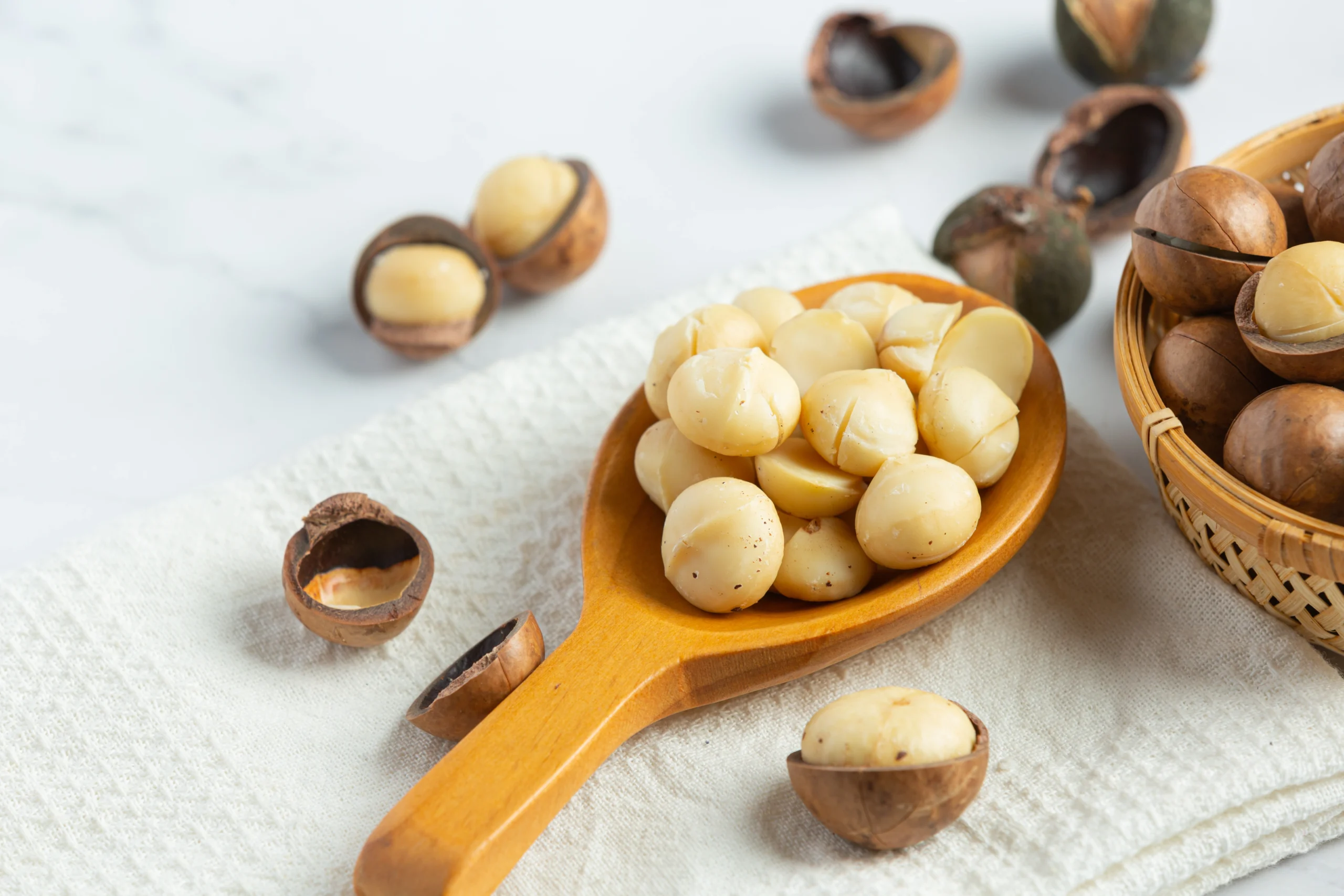 Nuts, macadamia nuts, raw