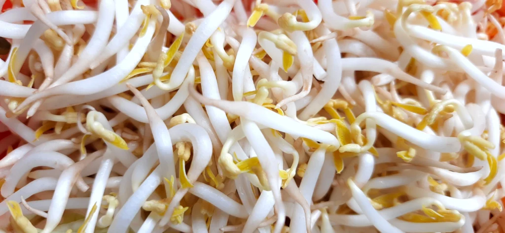 phytonutrients Mushroom, enoki
