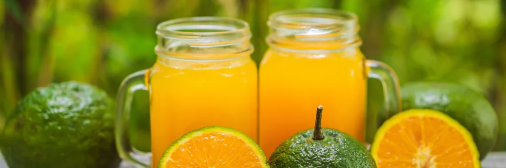 Phytonutrients Orange juice, no pulp, not fortified, not from concentrate, refrigerated