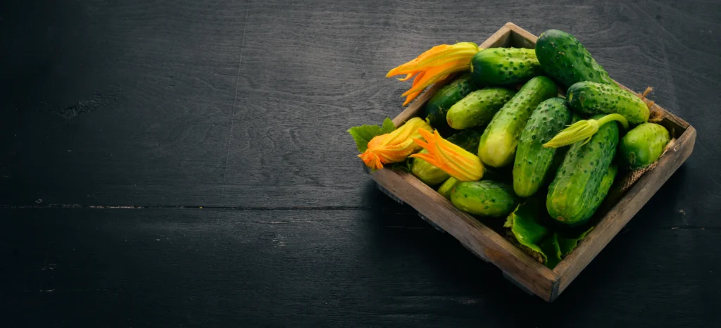 Phytonutrients Pickles, cucumber, dill or kosher dill