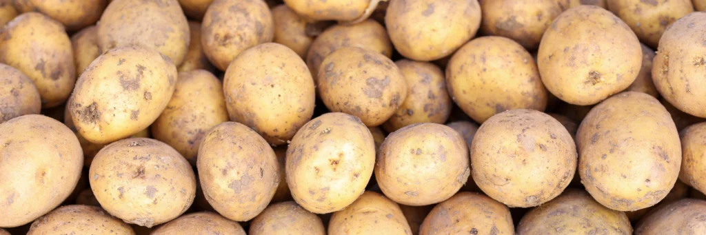 Phytonutrients Potatoes, russet, without skin, raw
