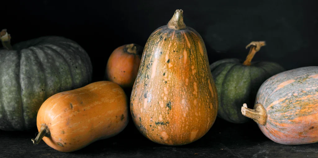 Phytonutrients Squash, winter, acorn, raw